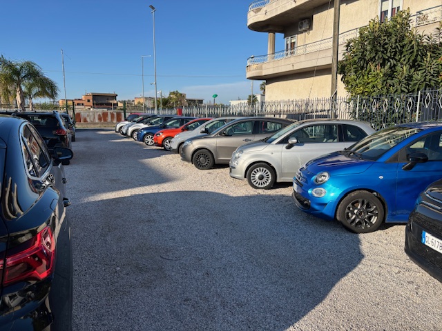 Gruppo Palmieri